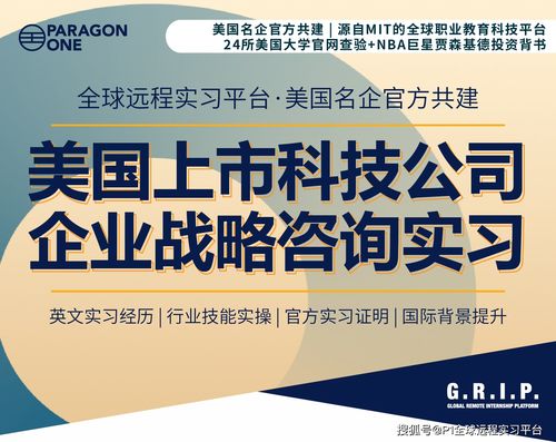 美國上市科技公司的企業戰略與技術開發 遠程實習的機遇與挑戰